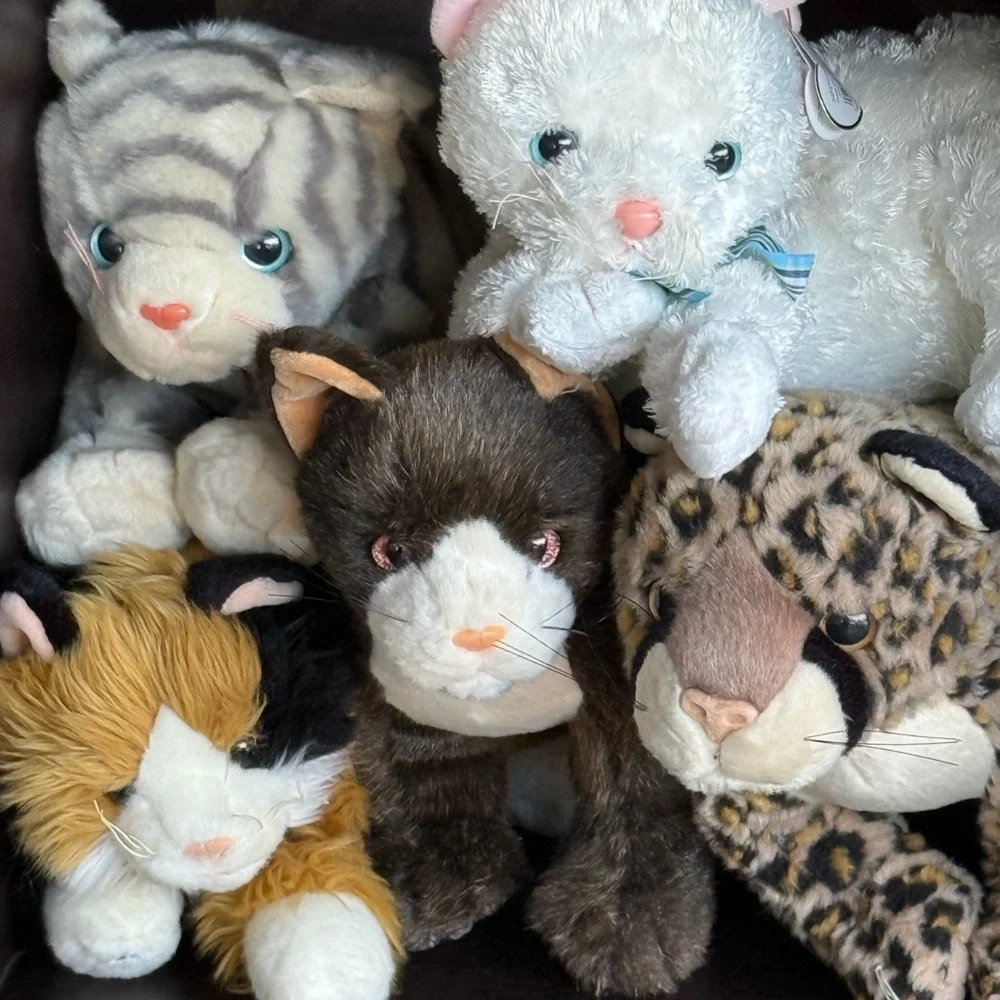 Plush Cat Toy - Brown and Cream collectible